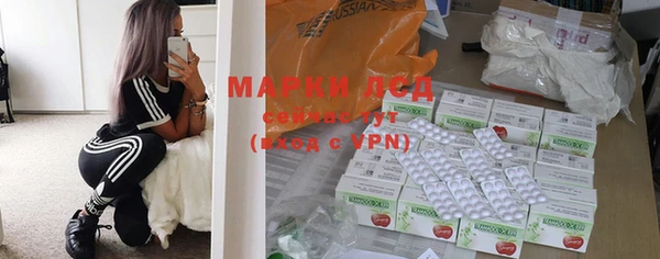 прущие грибы Беломорск