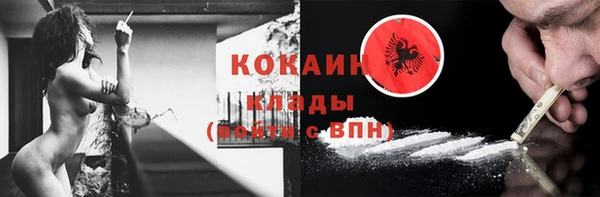 прущие грибы Беломорск
