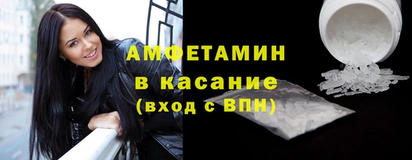 прущие грибы Беломорск