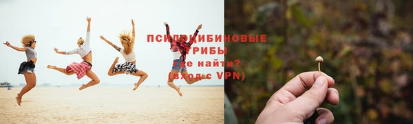 каннабис Белокуриха