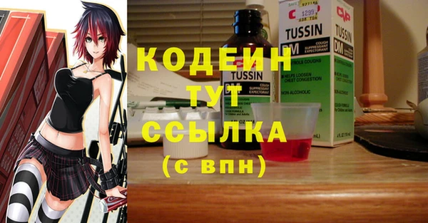 прущие грибы Беломорск