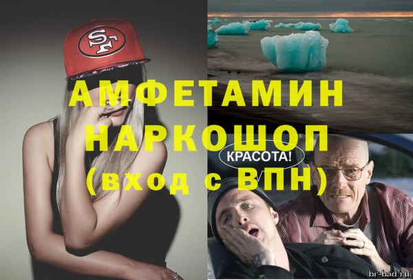 прущие грибы Беломорск