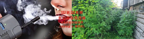 прущие грибы Беломорск
