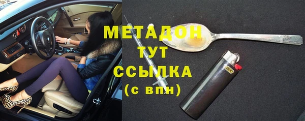 прущие грибы Беломорск