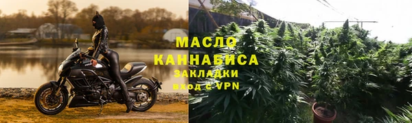 прущие грибы Беломорск