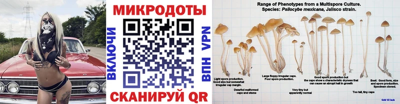 Псилоцибиновые грибы Cubensis  купить закладку  Моздок 